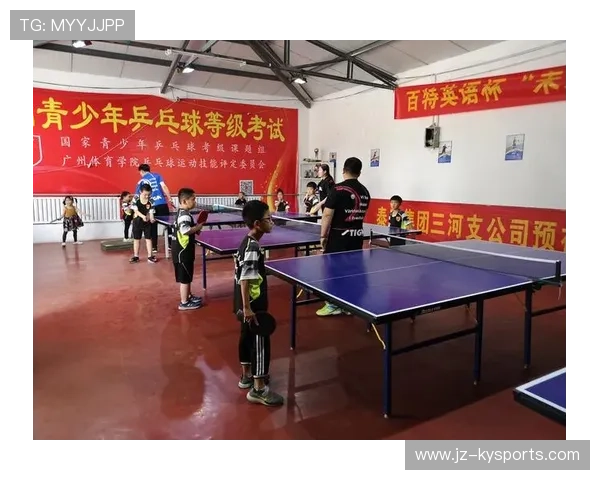 世界乒乓球联赛赛场观众体验提升工程进度通报，乒乓世界级比赛